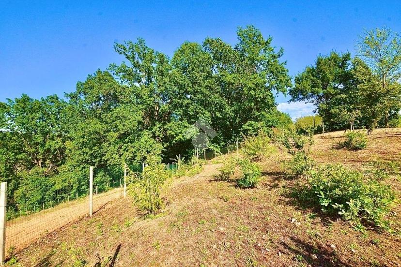 Terratetto plurifamiliare via Monterotondo 50, Novi Ligure — foto 20 di 20