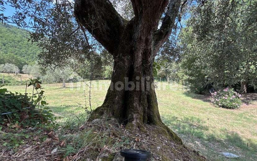 Villa unifamiliare, ottimo stato, 206 m², Lisciano Niccone — foto 56 di 59