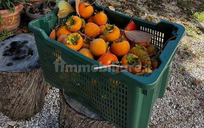 Villa unifamiliare, ottimo stato, 206 m², Lisciano Niccone — foto 28 di 59