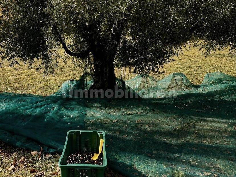 Villa unifamiliare, ottimo stato, 206 m², Lisciano Niccone — foto 6 di 59