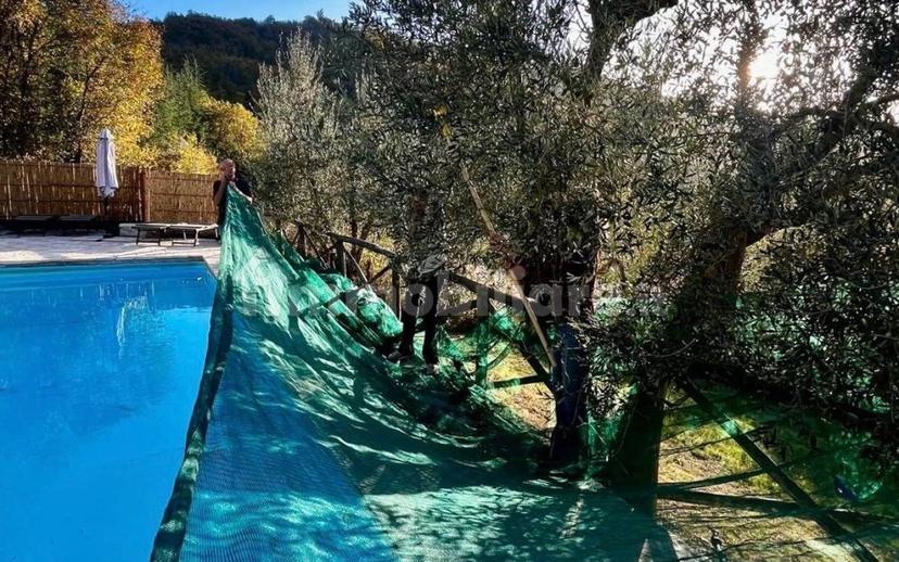 Villa unifamiliare, ottimo stato, 206 m², Lisciano Niccone — foto 23 di 59