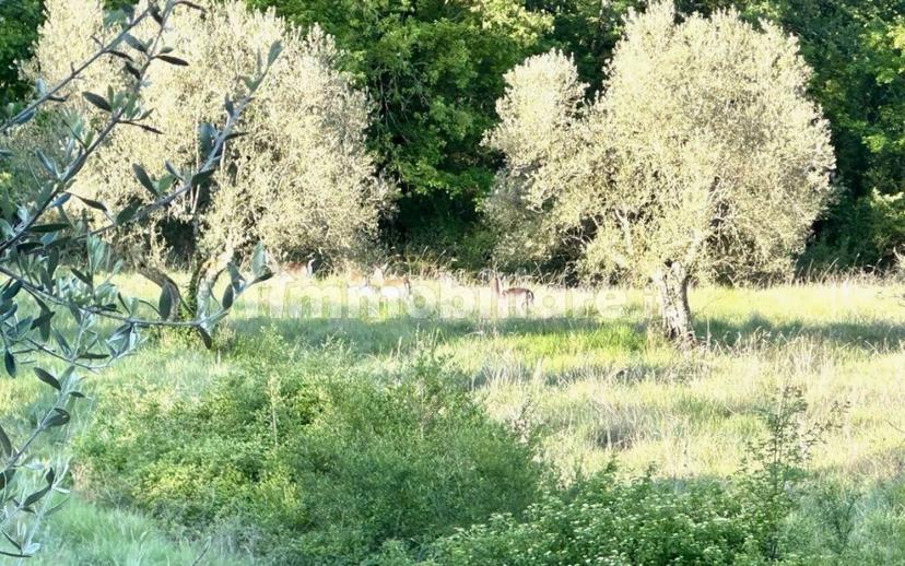 Villa unifamiliare, ottimo stato, 206 m², Lisciano Niccone — foto 38 di 59