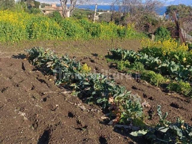 Terratetto unifamiliare 76 m², da ristrutturare, Isola Verde, Ca' Lino, Chioggia — foto 4 di 14