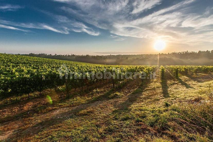 Terratetto unifamiliare 76 m², da ristrutturare, Isola Verde, Ca' Lino, Chioggia — foto 11 di 14