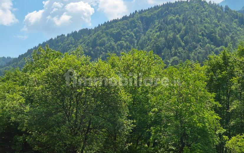 Rustico 300 m², Prato Carnico — foto 16 di 16