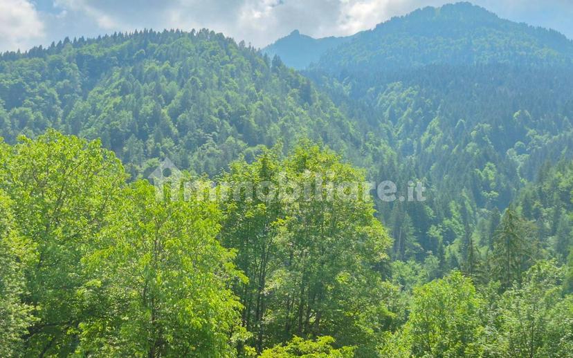 Rustico 300 m², Prato Carnico — foto 3 di 16