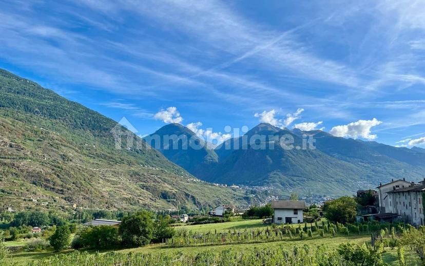 Villa unifamiliare via San Giuseppe 5, Torchione Moia, Albosaggia — foto 13 di 32