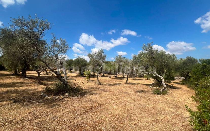 Terratetto unifamiliare Strada Vicinale Santa Maria di Lu Gardu 16, Li Punti - Viziliu, Sassari — foto 2 di 29