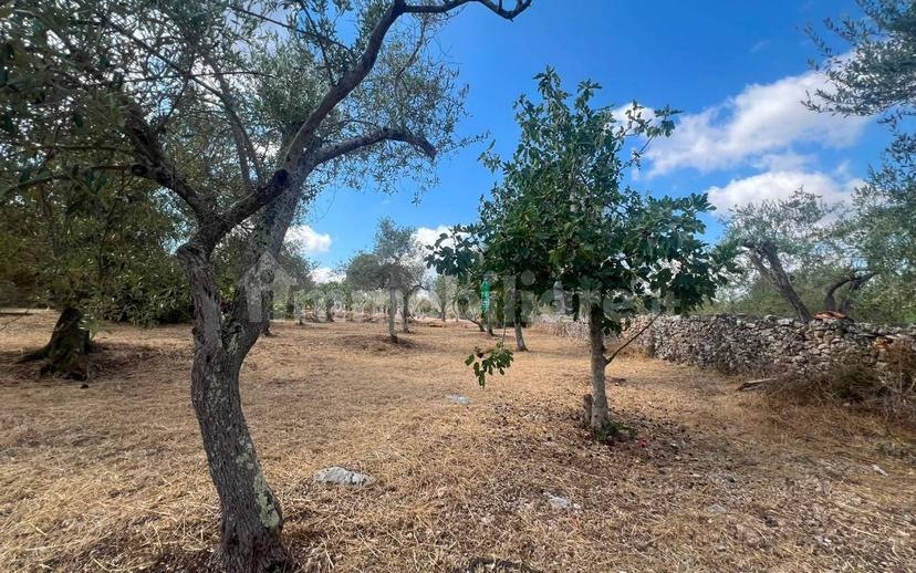 Terratetto unifamiliare Strada Vicinale Santa Maria di Lu Gardu 16, Li Punti - Viziliu, Sassari — foto 20 di 29