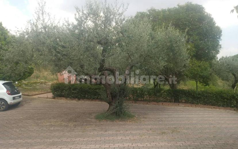 Villa unifamiliare Strada Provinciale piazza Armerina-Mirabella Imbaccari, Piazza Armerina — foto 30 di 41