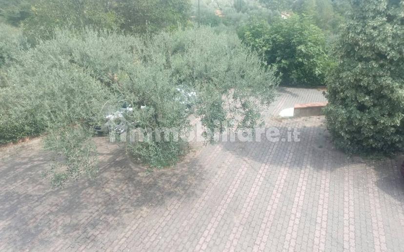 Villa unifamiliare Strada Provinciale piazza Armerina-Mirabella Imbaccari, Piazza Armerina — foto 36 di 41