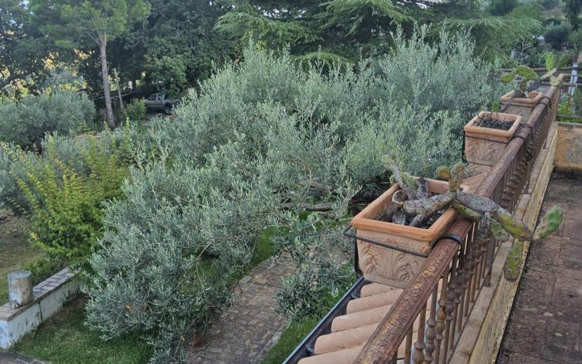 Villa unifamiliare via San Francesco, Centro, Siderno — foto 29 di 36