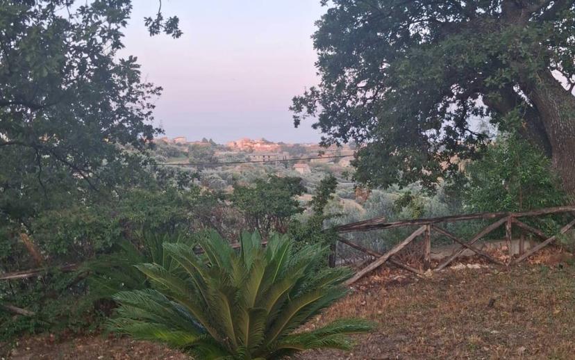 Villa unifamiliare via San Francesco, Centro, Siderno — foto 31 di 36