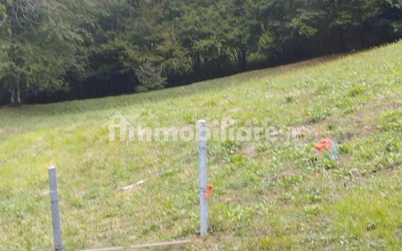 Rustico viale Europa 14B, Ascensione, Costa Serina — foto 3 di 9