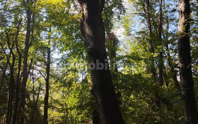 Rustico viale Europa 14B, Ascensione, Costa Serina — foto 2 di 9