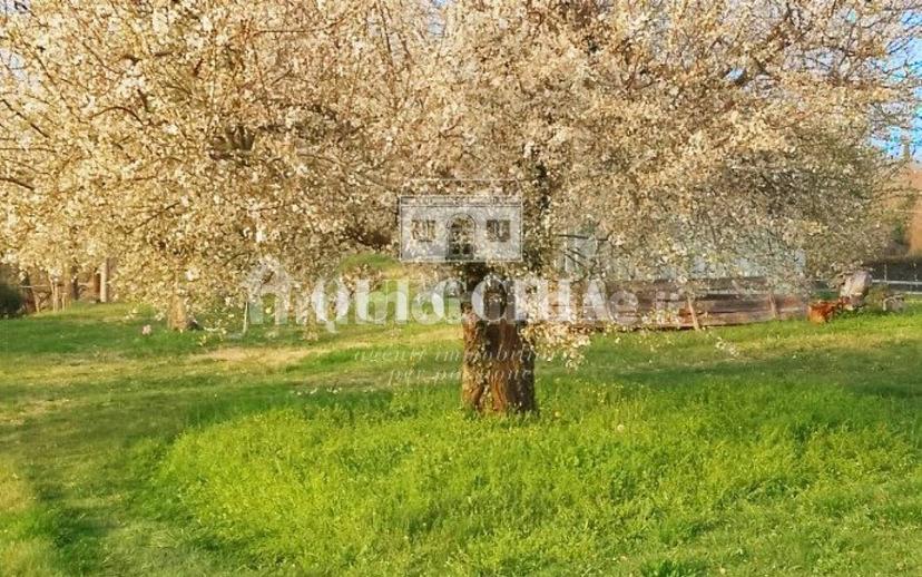 Villa unifamiliare via Monticoli, Lazise — foto 3 di 21
