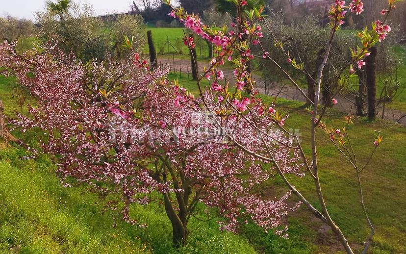 Villa unifamiliare via Monticoli, Lazise — foto 8 di 21
