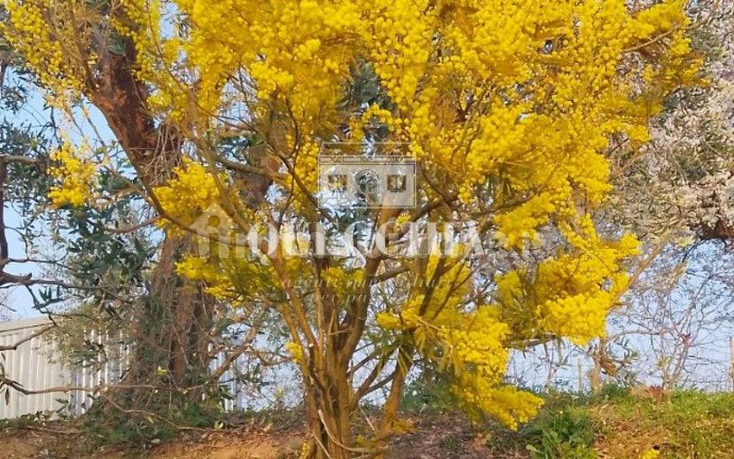 Villa unifamiliare via Monticoli, Lazise — foto 18 di 21