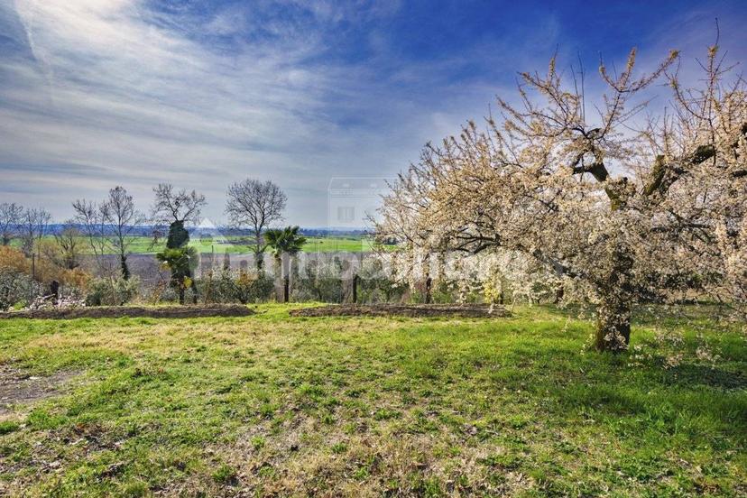 Villa unifamiliare via Monticoli, Lazise — foto 7 di 21