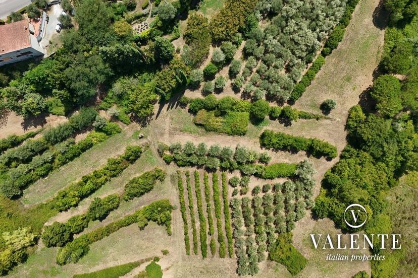 Villa unifamiliare via Dalmazia 120, Centro Storico, San Miniato — foto 25 di 60