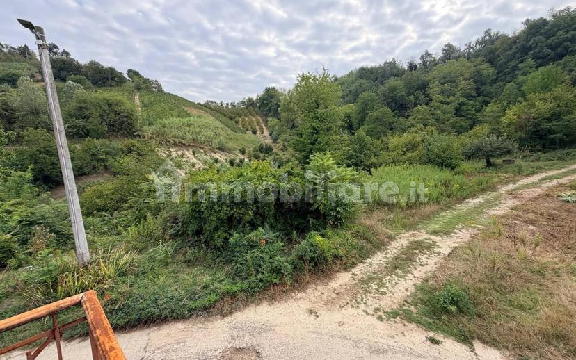 Casale regione Centanito 4, Corneliano d'Alba — foto 5 di 30
