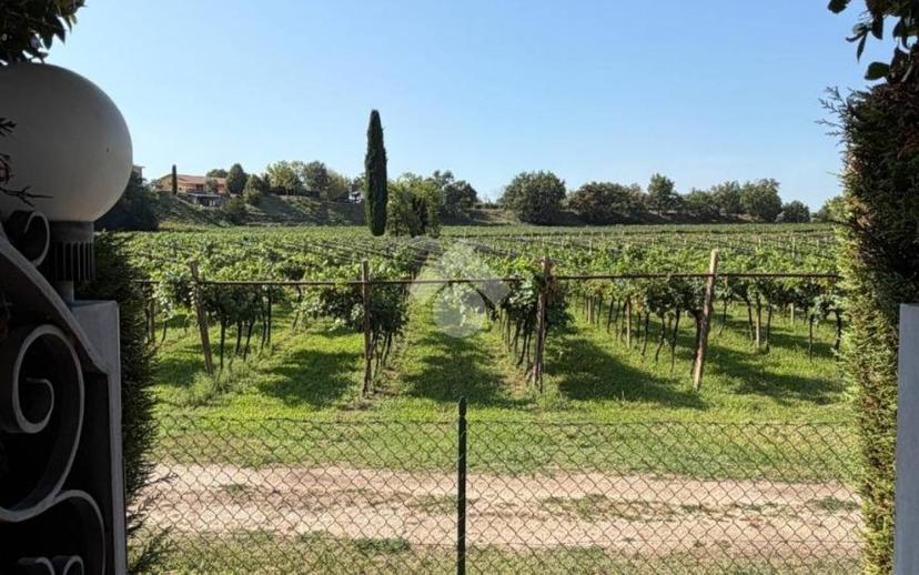 Trilocale via dei vigneti 229, Lazise — foto 10 di 36