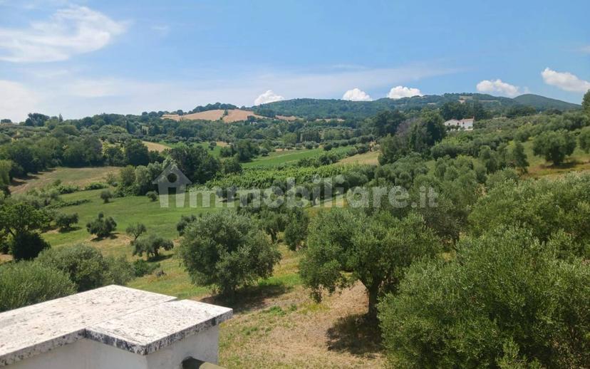 Casa colonica Località Poccioni, Troviggiano, Cingoli — foto 8 di 42