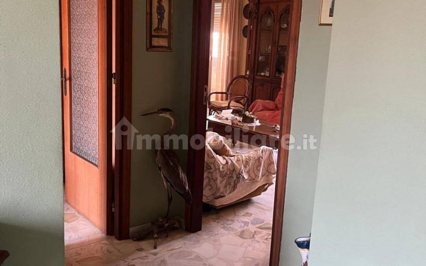 Appartamento via Sgroppillo 19, Cerza, San Gregorio di Catania — foto 6 di 16