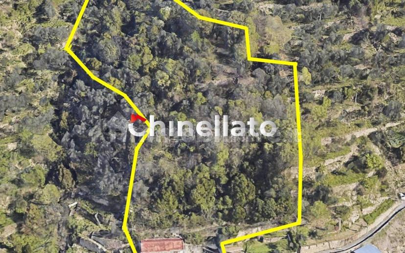 Terratetto unifamiliare via Finocchiara 46, Quezzi, Genova — foto 23 di 29