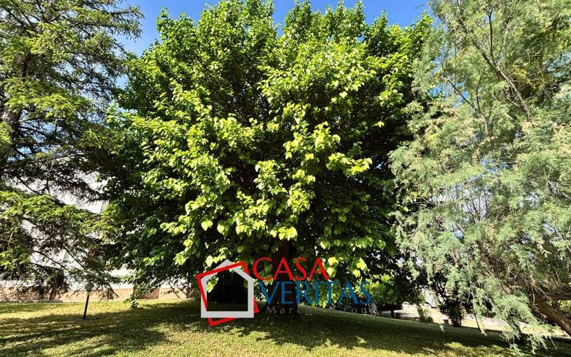 Casale Contrada Coroncino, San Paolo di Jesi — foto 24 di 42