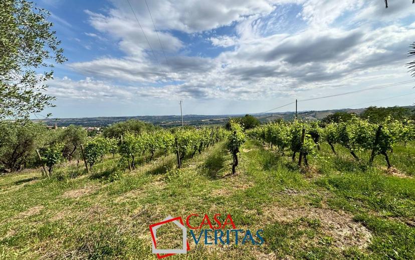 Casale Contrada Coroncino, San Paolo di Jesi — foto 41 di 42