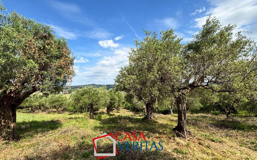 Casale Contrada Coroncino, San Paolo di Jesi — foto 13 di 42