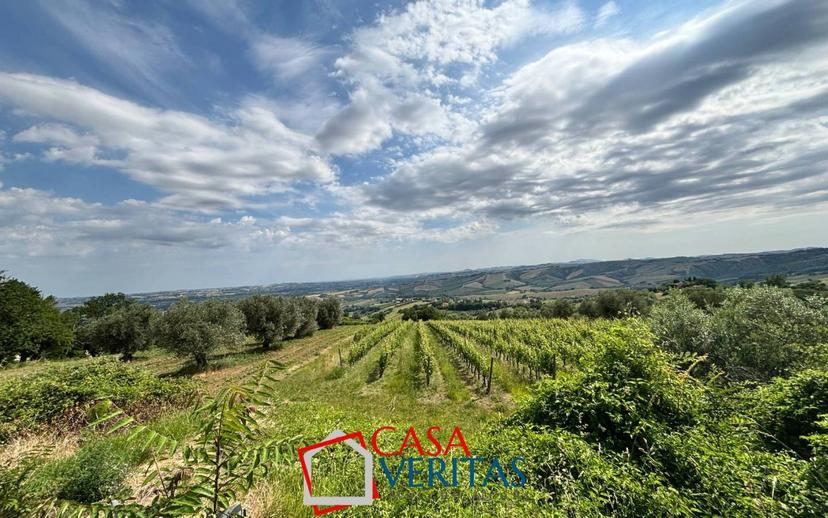 Casale Contrada Coroncino, San Paolo di Jesi — foto 9 di 42