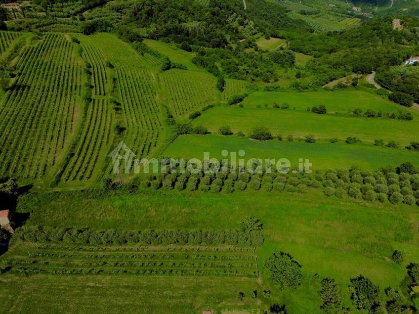 Terratetto unifamiliare via Salarola, Baone — foto 4 di 21