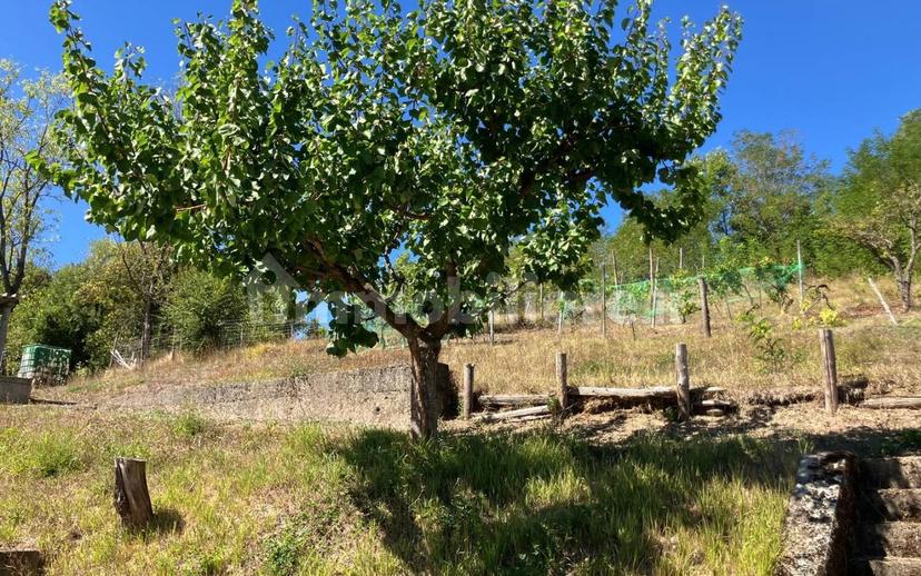 Villa unifamiliare Borgata Radimero, Arquata Scrivia — foto 30 di 44