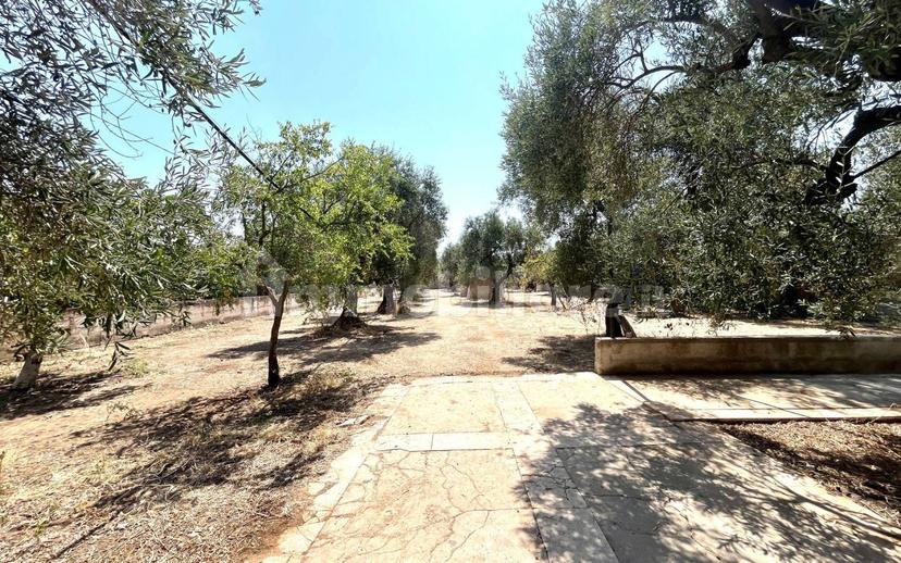 Villa unifamiliare Strada Vicinale Moschetto, Trani — foto 4 di 20