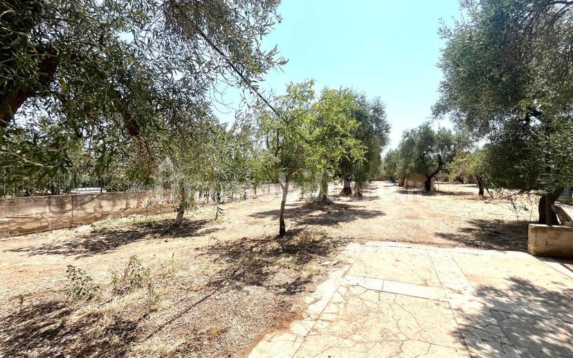 Villa unifamiliare Strada Vicinale Moschetto, Trani — foto 19 di 20