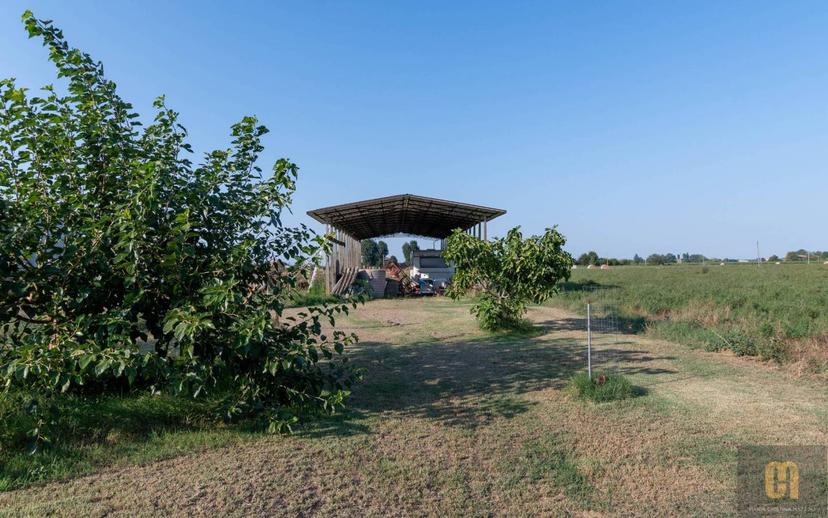 Casa colonica via Canaletto 33, Malalbergo — foto 31 di 41