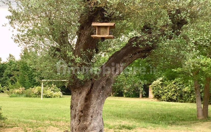 Villa unifamiliare, buono stato, 600 m², San Biagio di Callalta — foto 19 di 40