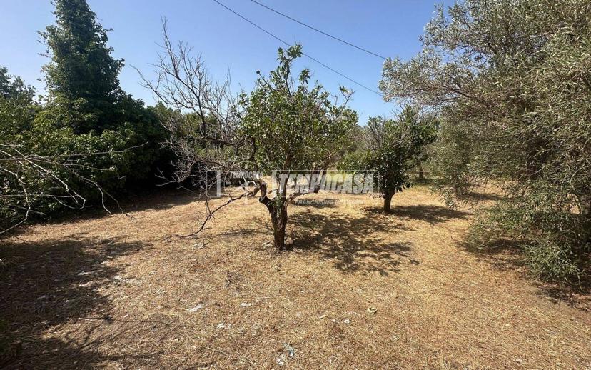 Rustico Località Sparta 32/traversa, Acqualadrone - Spartà, Messina