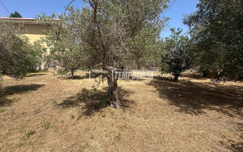 Rustico Località Sparta 32/traversa, Acqualadrone - Spartà, Messina — foto 3 di 20