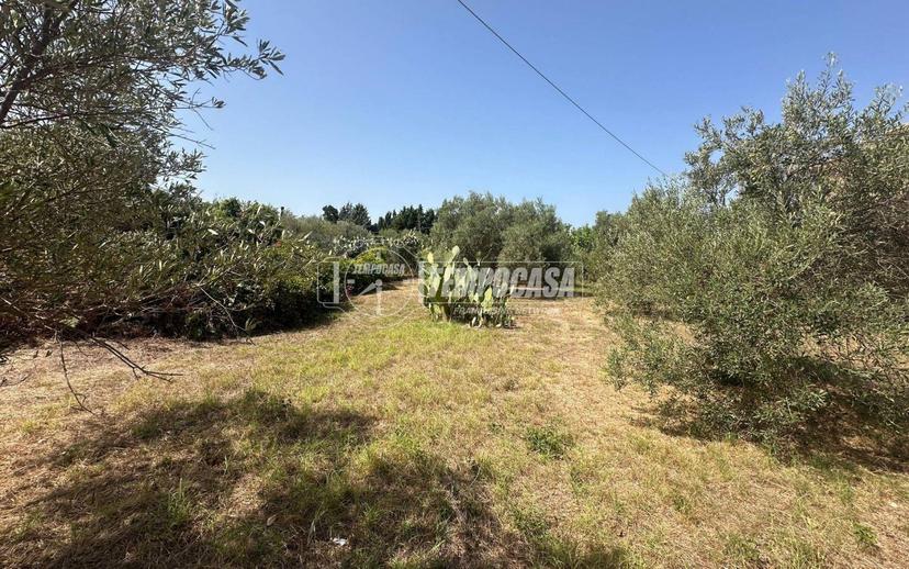 Rustico Località Sparta 32/traversa, Acqualadrone - Spartà, Messina — foto 20 di 20