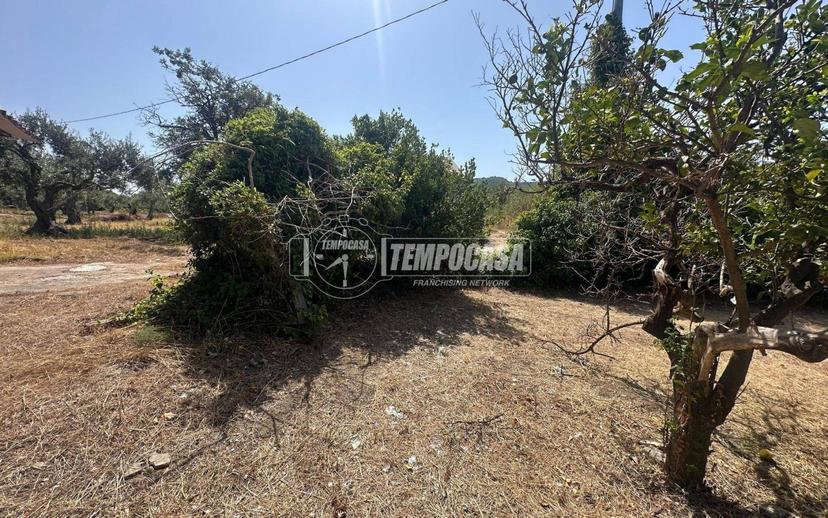 Rustico Località Sparta 32/traversa, Acqualadrone - Spartà, Messina — foto 11 di 20