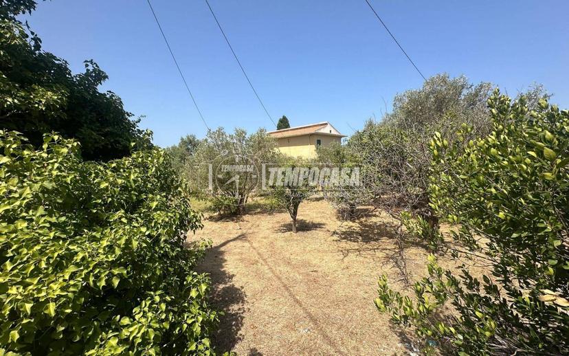 Rustico Località Sparta 32/traversa, Acqualadrone - Spartà, Messina — foto 13 di 20