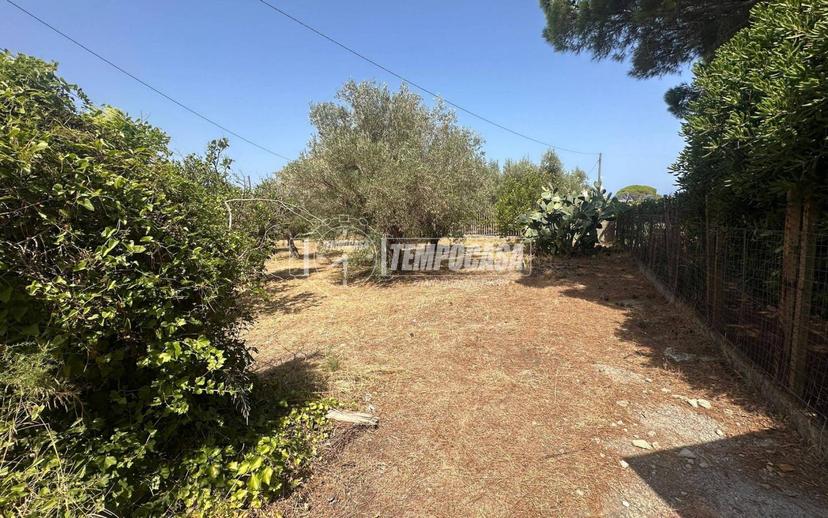 Rustico Località Sparta 32/traversa, Acqualadrone - Spartà, Messina — foto 5 di 20