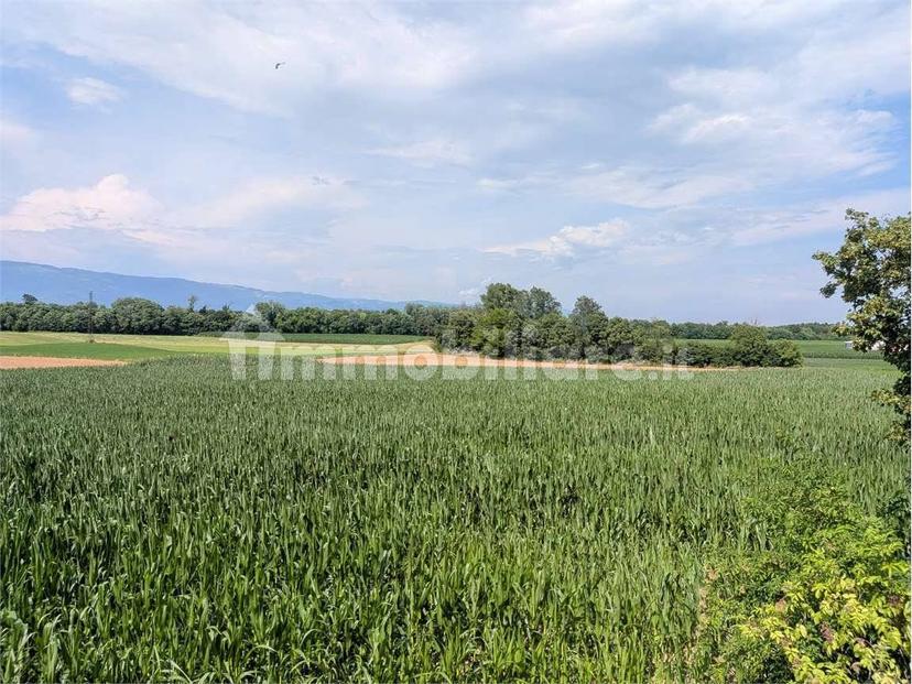Terratetto unifamiliare via San Marco, 45, Centro, Isola Vicentina — foto 27 di 34