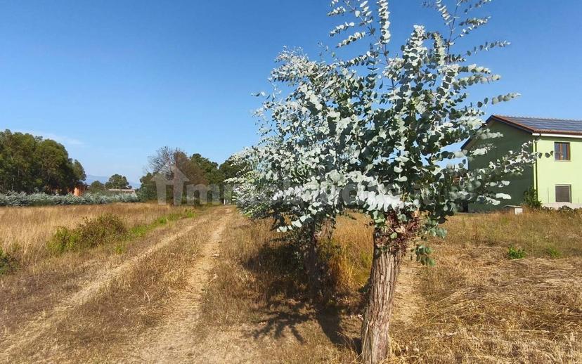 Villa unifamiliare via Moscarello, Cisterna di Latina — foto 30 di 42