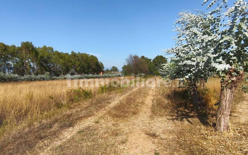 Villa unifamiliare via Moscarello, Cisterna di Latina — foto 3 di 42