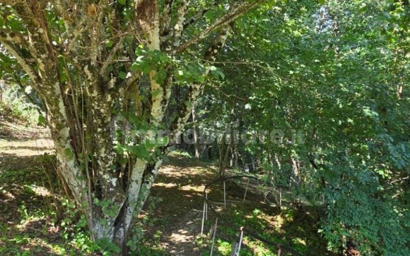 Terratetto plurifamiliare Località Cavorsi 2, Cavorsi, Torriglia — foto 26 di 109