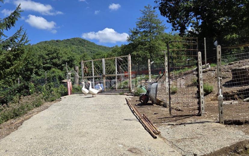 Terratetto plurifamiliare Località Cavorsi 2, Cavorsi, Torriglia — foto 108 di 109